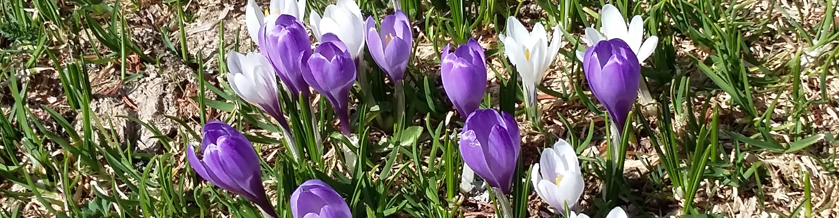 Impressionen aus dem Surental